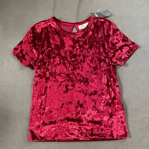 NWT Hollister Velvet Top